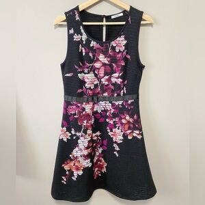 Dex Black Sleeveless Mini Dress with Pink Floral Print
